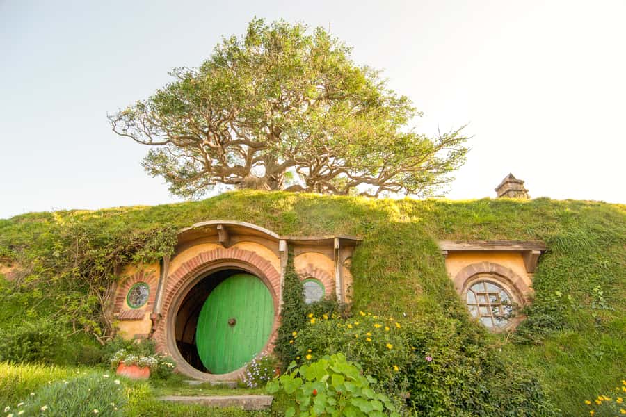Auckland: Hobbiton Movie Set Tour with Lunch - Price and value: what you’re really paying for
