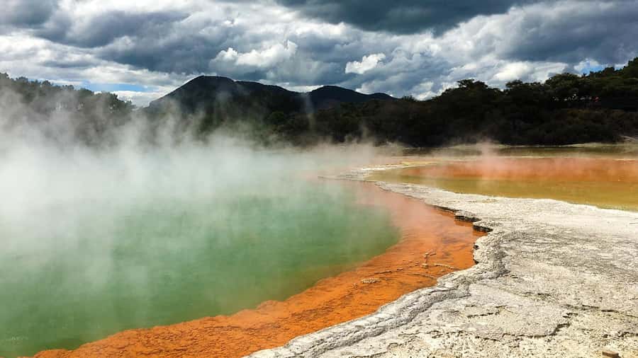 Auckland: Hobbiton, Rotorua and Wai-O-Tapu Day Tour - Food, Comfort, and What You’re Really Paying For