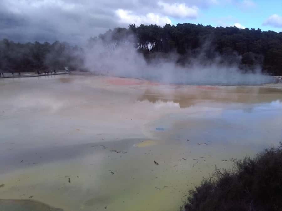 Auckland: Hobbiton, Rotorua, Waiotapu and Waitomo 3-Day Tour - Day 1: Hobbiton, Te Puia, and Mitai (Rotorua’s Best First Impression)