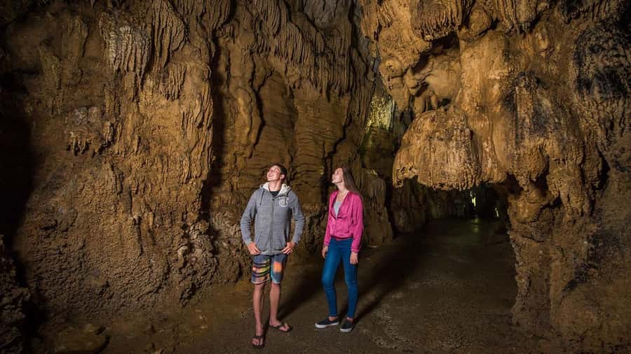 Auckland: Hobbiton, Waitomo Caves, and Rotorua 1-Way Tour - Rotorua in 20 Minutes: A Guided Taste of the Thermal-City Main Sights