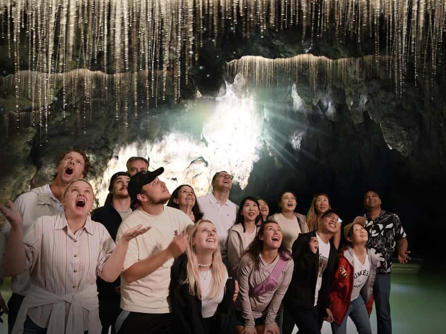 Auckland: Hobbiton & Waitomo Caves Small-Group Tour & Lunch - Between stars and hobbit holes: Lake Karapiro and the Waikato stops
