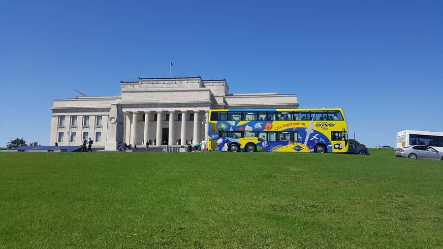 Auckland: Hop-On Hop-Off Explorer Bus Ticket - The Summer Bonus Blue Tour: Mt Eden, Zoo, and MOTAT