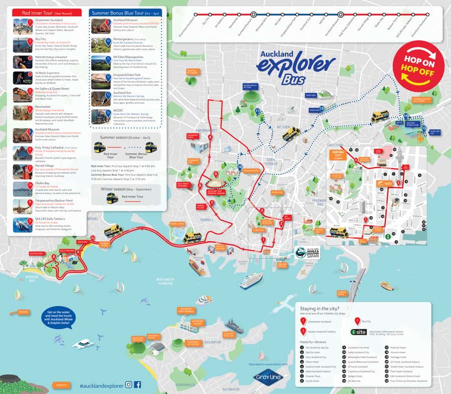 Auckland: Hop-On Hop-Off Explorer Bus Ticket - Practical Tips for a Smooth Auckland Explorer Day