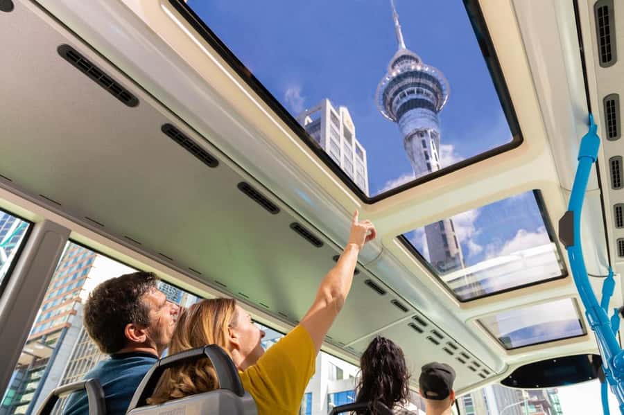 Auckland: Hop-On Hop-Off Explorer Bus Ticket - The Red Inner Route: Central Auckland plus Sky Tower to SEA LIFE