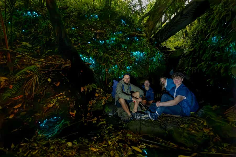 Auckland: Inner-City Glowworm Experience in Ancient Volcano - Key Highlights You’ll Care About