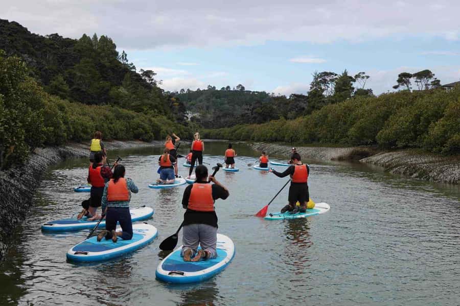 Auckland: Lucas Creek Waterfall SuP Tour - Key Points I’d Bet On