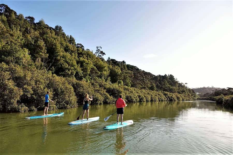 Auckland: Lucas Creek Waterfall SuP Tour - Meeting Albany Where the Water Begins (31 Wharf Road)