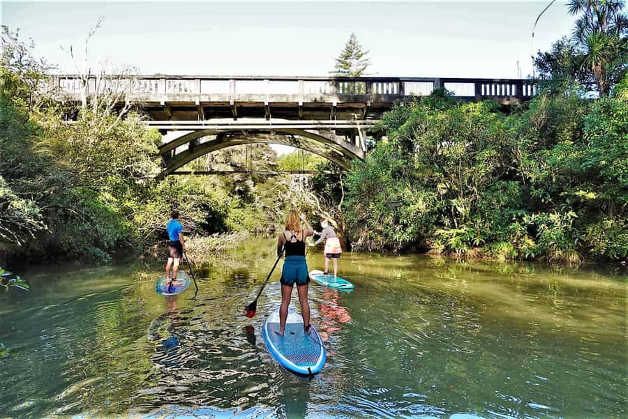 Auckland: Lucas Creek Waterfall SuP Tour - Gliding Toward Lucas Creek Waterfall: What the 1.5 Hours Feels Like