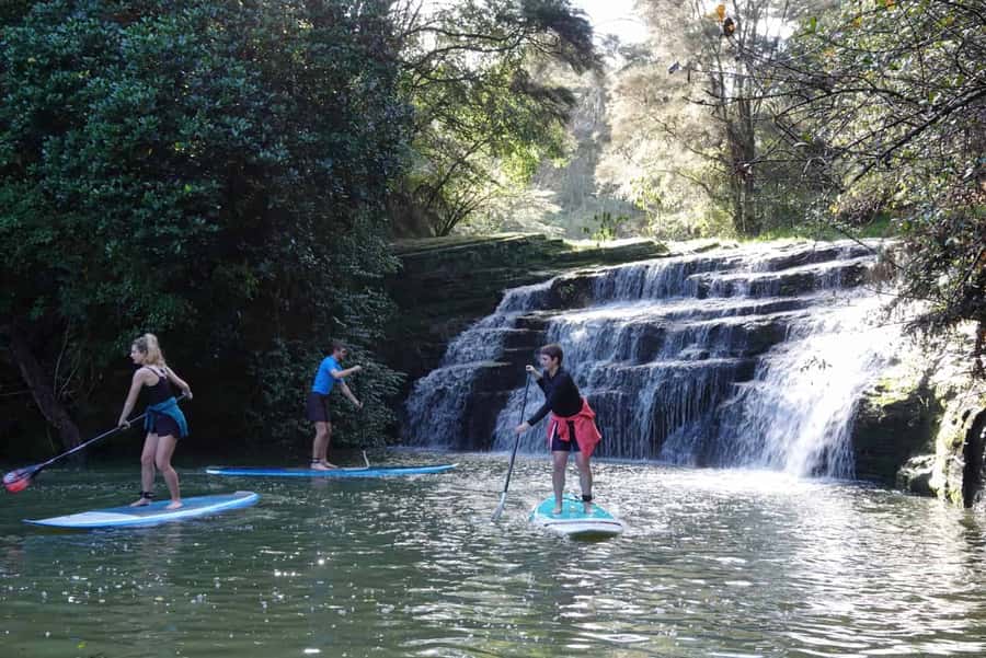 Auckland: Lucas Creek Waterfall SuP Tour - The 30-Minute Safety Briefing That Actually Helps