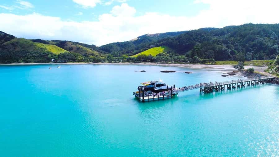 Auckland: Man O' War Vineyard Ferry (Waiheke Island) - Getting there: times, check-in, and the Explore Group kiosk