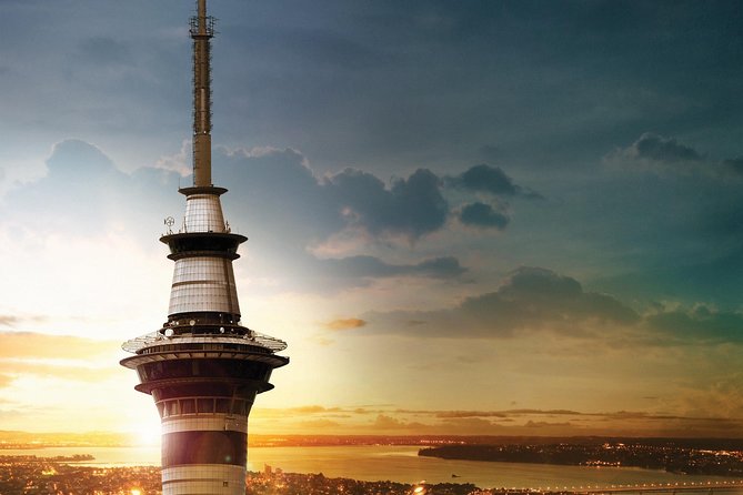 Auckland Māori Culture Experience - Private Tour - The private guide difference: how to get more out of the day