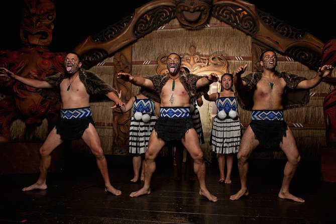 Auckland Māori Culture Experience - Private Tour - Auckland Museum and the war dance haka performance