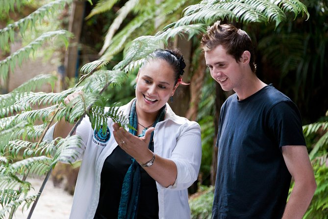 Auckland Maori Tour - Price and value: what $307.18 buys you (and what it doesn’t)