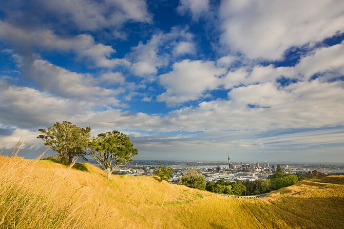 Auckland Maori Tour - Auckland Museum exterior and Achilles Point: architecture outside, vistas inside