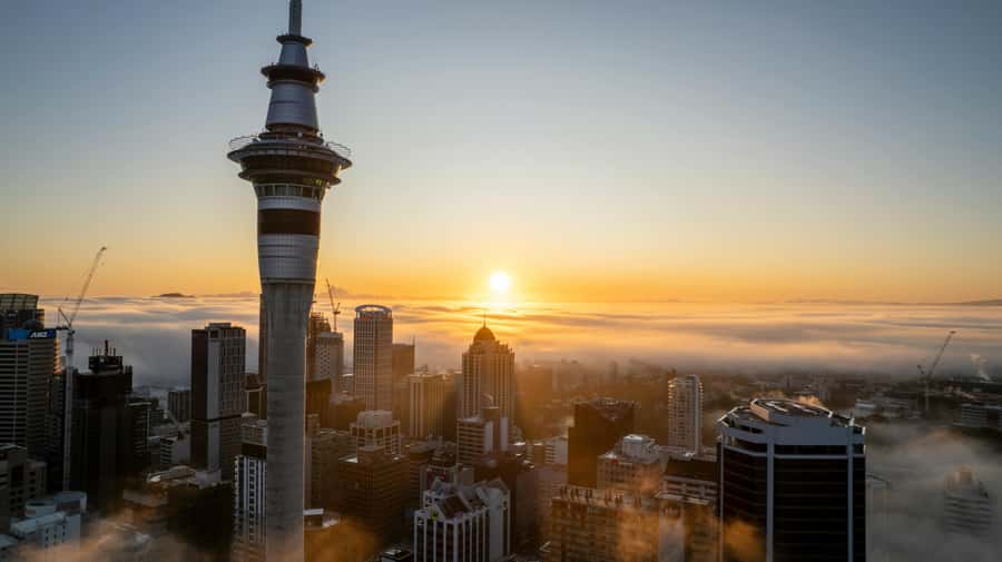 Auckland: Mt. Eden, Piha Beach & Karekare Private Tour - Quick Hits