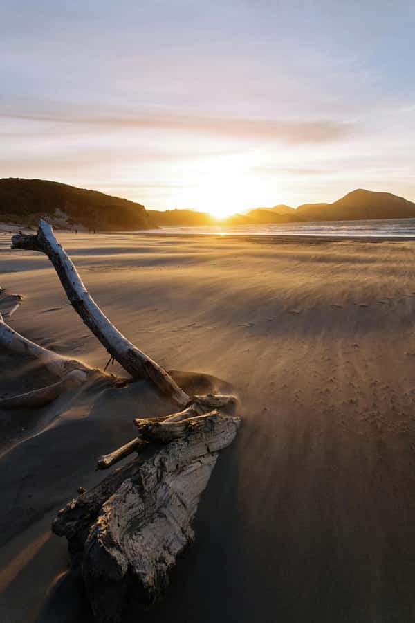 Auckland: Mt. Eden, Piha Beach & Karekare Private Tour - Arataki Visitor Centre: Waitākere Ranges Views and Māori Carvings