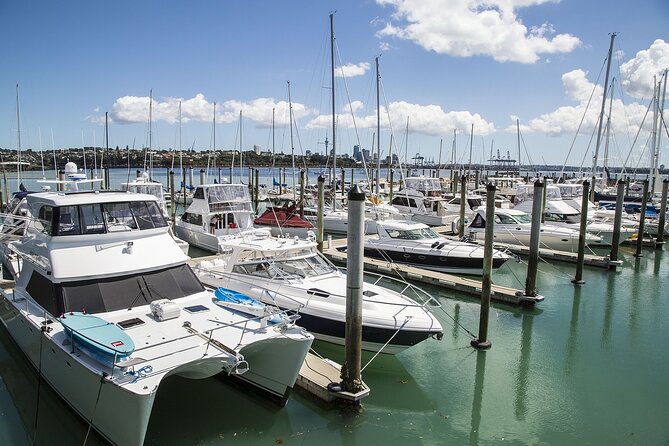 Auckland Museum and Highlight Sightseeing Tour - Four Stops That Tell You Where Auckland Fits