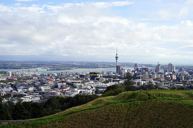 Auckland Museum and Highlight Sightseeing Tour - Price and Value: What You Pay For (and What You Still Need)