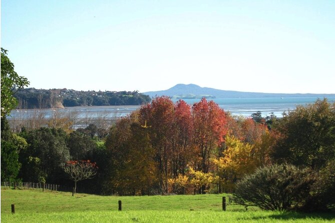 Auckland Nature Tour - Auckland in 5.5 Hours: How the Day Flows