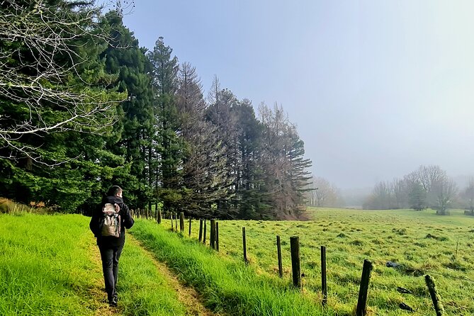 Auckland Nature Tour - Price and What $191 Actually Buys You