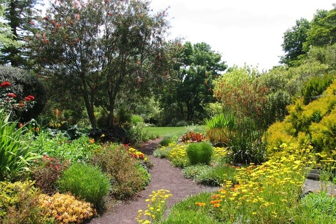 Auckland Nature Tour - Who This Tour Fits (and Who Should Skip It)