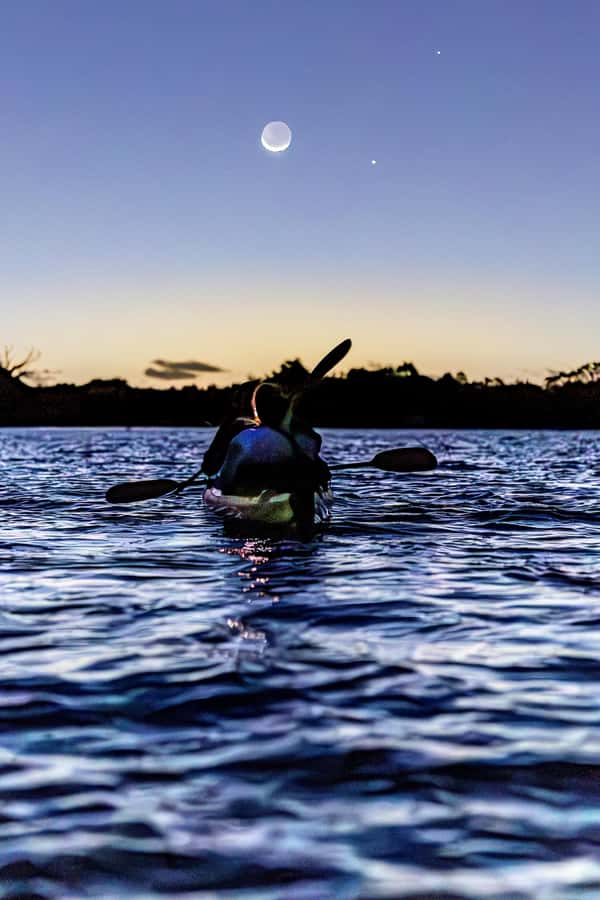 Auckland: Night Kayak Tour in Glowing Bioluminescent Waters - Sea Sparkle in Auckland’s dark water: what it feels like