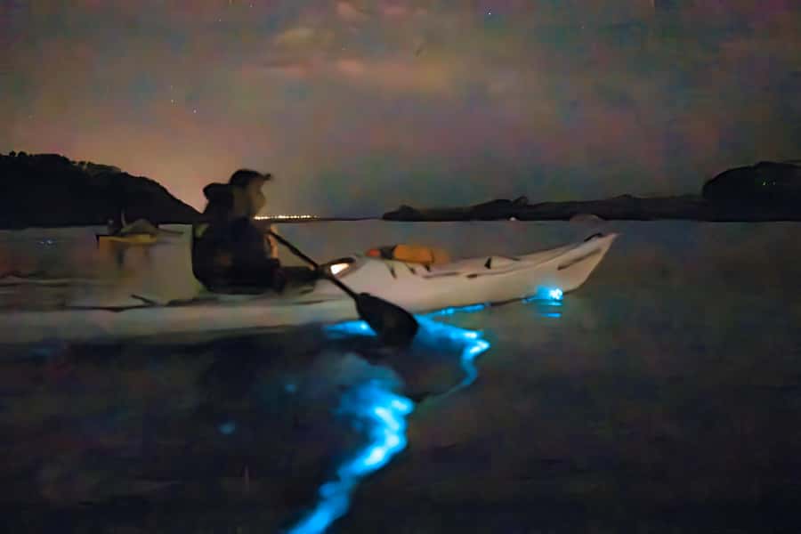Auckland: Night Kayak Tour in Glowing Bioluminescent Waters - The 30-minute safety briefing that makes the night calmer