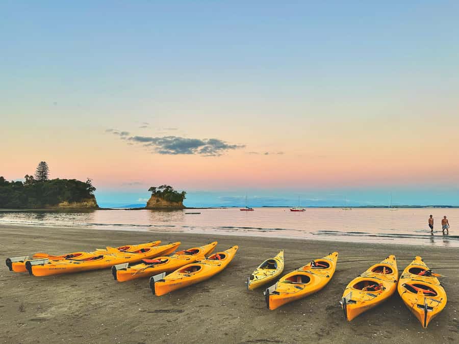 Auckland: Night Kayak Tour in Glowing Bioluminescent Waters - The 15-minute break: why that pause helps your night vision