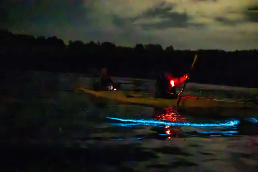 Auckland: Night Kayak Tour in Glowing Bioluminescent Waters - What to bring so you’re comfortable in night kayaking