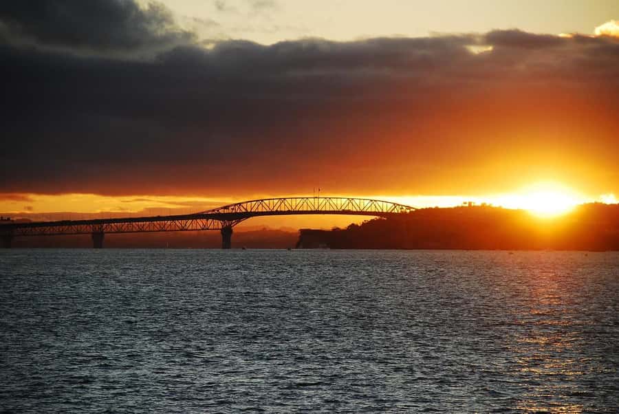 Auckland: Nightlights Harbour Cruise with Canapés and Drink - The signature moment: cruising under the Harbour Bridge