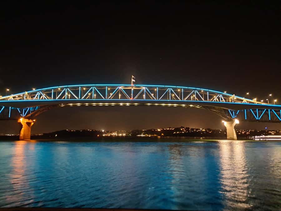 Auckland: Nightlights Harbour Cruise with Canapés and Drink - The vibe: relaxing music, a live guide, and a 2-hour flow