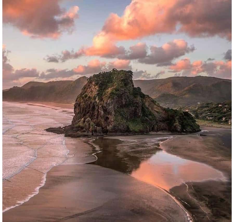 Auckland: Piha Beach, Rainforest, & Mount Eden Private Tour - Why the Waitākere Ranges feel like a different world