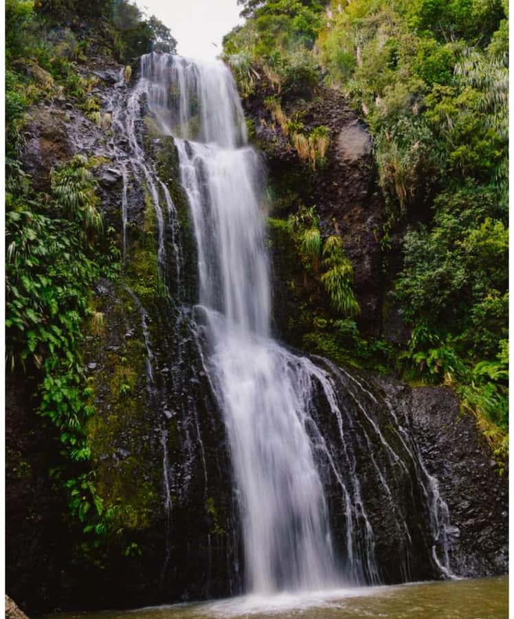 Auckland: Piha Beach, Rainforest, & Mount Eden Private Tour - Piha Beach: black sand, strong surf, and Lion Rock photos