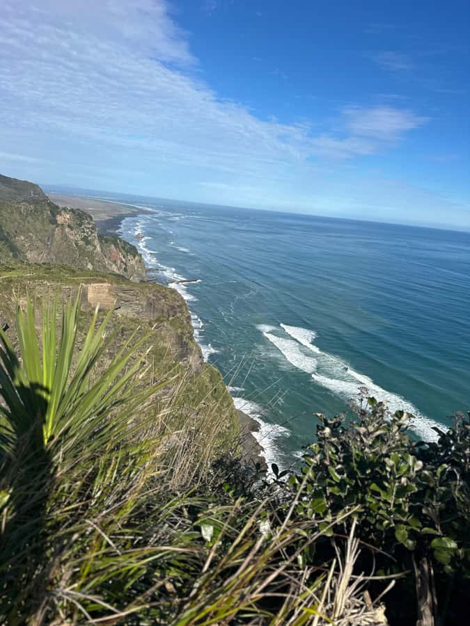 Auckland: Piha Beach, Rainforest, & Mount Eden Private Tour - Price and what you get for $262 per person