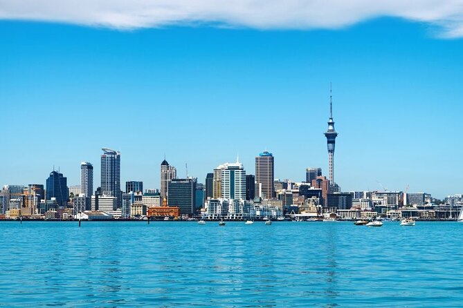 Auckland Private Custom Walking Tour with A Guide (Private Tour) - Museum visits and ticket help: getting the timing right