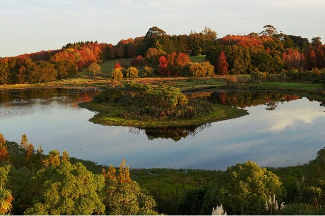 Auckland Private Custom Walking Tour with A Guide (Private Tour) - Who this private Auckland walk is best for