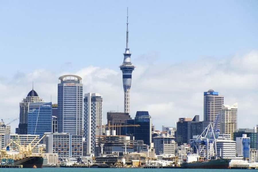 Auckland: Private Customizable Walking Tour with Local Guide - Choosing your route: how customization changes what you see