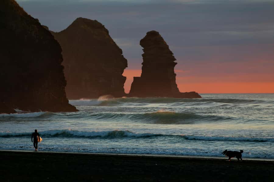 Auckland Private Tour: West Coast Wilderness & Piha Beach - Key Points Before You Go