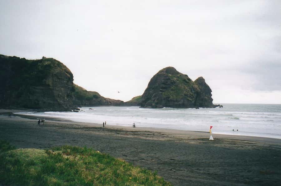 Auckland Private Tour: West Coast Wilderness & Piha Beach - A Quietly Smart Way to Do Auckland’s West Coast in 7 Hours
