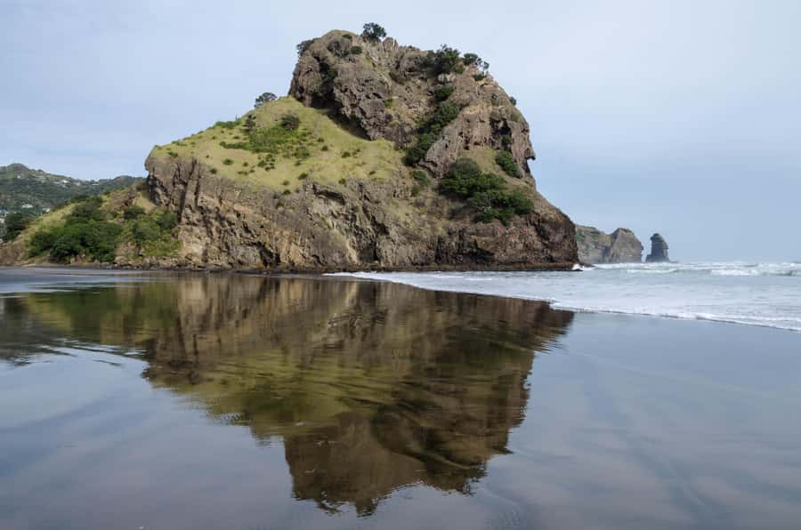 Auckland Private Tour: West Coast Wilderness & Piha Beach - Karekare Waterfall: A Secluded Forest Pause Without Overplanning