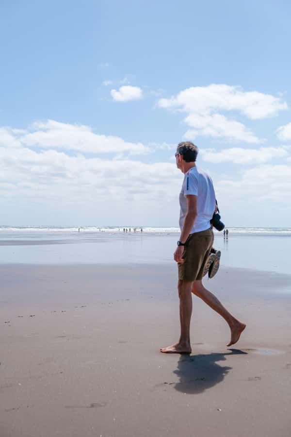 Auckland Private Tour: West Coast Wilderness & Piha Beach - Mercer Bay Loop (Optional): A Bonus View if You Want More Coast
