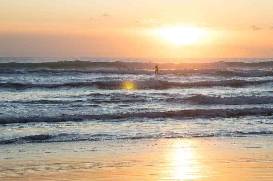 Auckland Private Tour: West Coast Wilderness & Piha Beach - Arataki Visitor Centre: Your Waitākere Ranges Quick Start