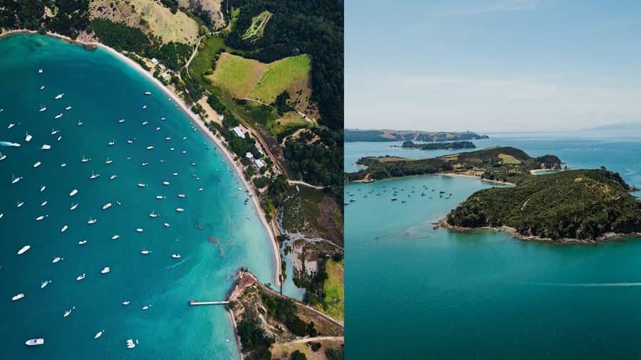 Auckland: Rotoroa Island and Man O'War Vineyard Combo Tour - Auckland to Waiheke Island in a single 7-hour loop