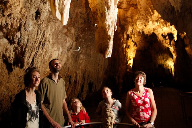 Auckland: Rotorua Māori Village, Waitomo Caves & Lunch - Who This Tour Is Best For (and Who Should Skip It)
