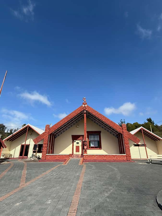 Auckland: Rotorua Māori Village & Waitomo Caves with Lunch - Guided Format: What You Gain (and What You Surrender)