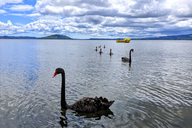 Auckland: Rotorua, Taupo, Waiotapu & Huka Falls Private Trip - How the private guide changes the day