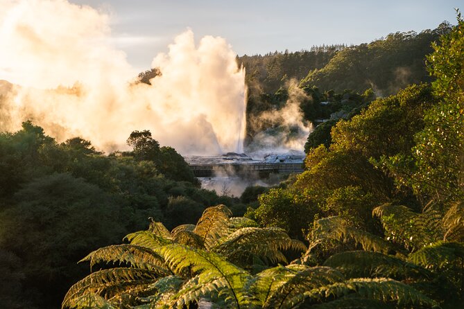 Auckland: Rotorua Te Puia with Haka & Polynesian Spa Small Group - Small group (max 11) and an air-conditioned ride: why it changes the day