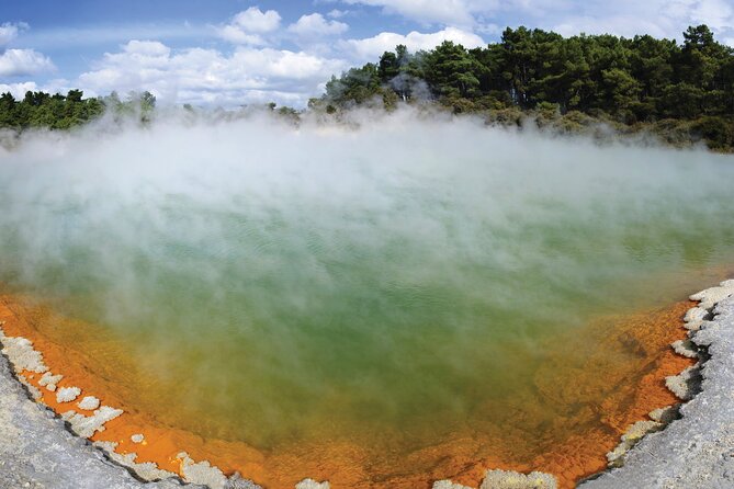 Auckland: Rotorua Tour with Waiotapu, Te Puia and Maori Haka - Rotorua in Transit: The One-Hour Window You Can Actually Use