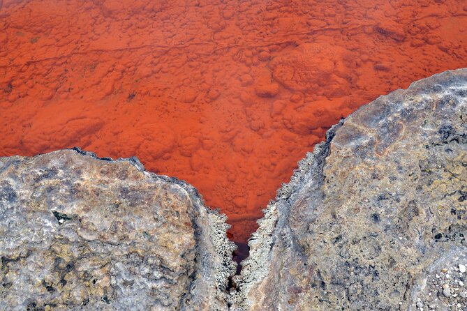 Auckland: Rotorua Tour with Waiotapu, Te Puia and Maori Haka - Who Should Book This Auckland to Rotorua Day Trip?