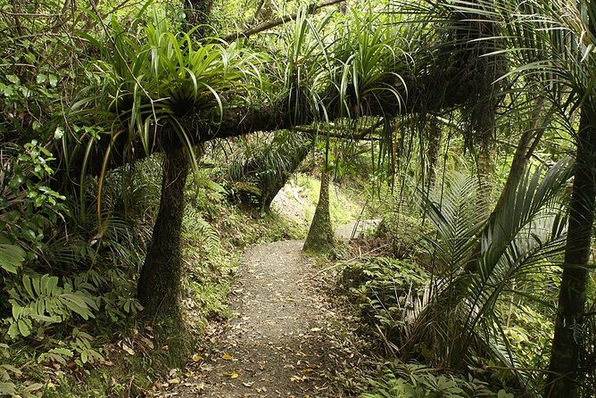 Auckland's Wild West Coast & Black Sand Beaches Tour inc Lunch - Devonport and North Head Historic Reserve: Volcanic Views Over Hauraki Gulf